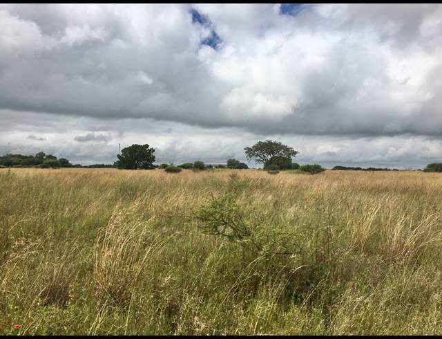 8HA FARM FOR SALE IN DEBRON